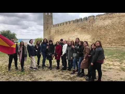 Карина тетерина белгород
