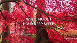 White Noise 1 hour deep sleep.#whitenoise #sleepsounds #deepwhitenoise #subscribe