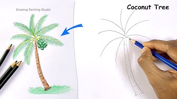How to Draw a Coconut Tree step by step for Beginners | Easy Coconut tree drawing Tutorial