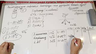 Чем подкормить вегетирующие саженцы винограда? В какой форме дать азотные удобрения и почему?