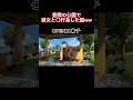猫ミーム 昼間の公園で彼女と 行為した話ww Shorts 猫ミーム 猫 猫マニ フィクション 猫ミーム 昼間の公園で彼女と 行為した話ww Shorts 猫ミーム 猫 猫マニ フィクション