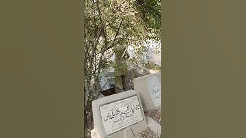 تلاوة من سورة العنكبوت بصوت عبد الرحمن مسعد #عبدالرحمن_مسعد #سورة_العنكبوت