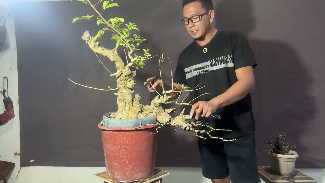 Vlog#11: Part3 Wiring/Layout 🌳