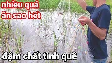 giăng lưới cá rô đồng bữa cơm đạm bạc của anh em mình