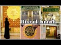Riaz ul Jannah Ka  permit mil Gaya 🤍 Jannat Ka hisa 🤍🤍