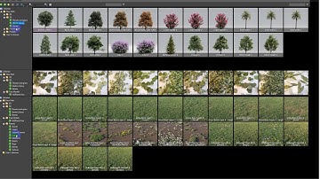 How to install forest pack for 3ds max | How to show forest pack library in 3ds max |
