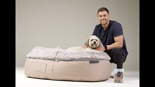 Here's why dogs all shapes, breeds & sizes prefer ambient lounge® beds | ambient lounge
