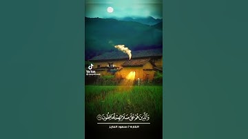 القارئ / سعود الفايز 🤎