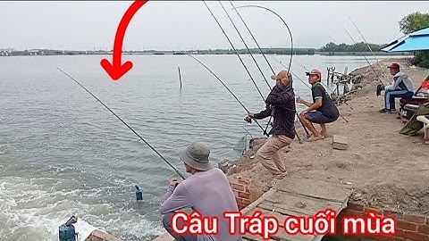 Câu cá Tráp, Hanh cuối Mùa với cần thủ Nữ/ Câu Đùng Mỹ Xuân Tân Thành BRVT @Dammecauca1