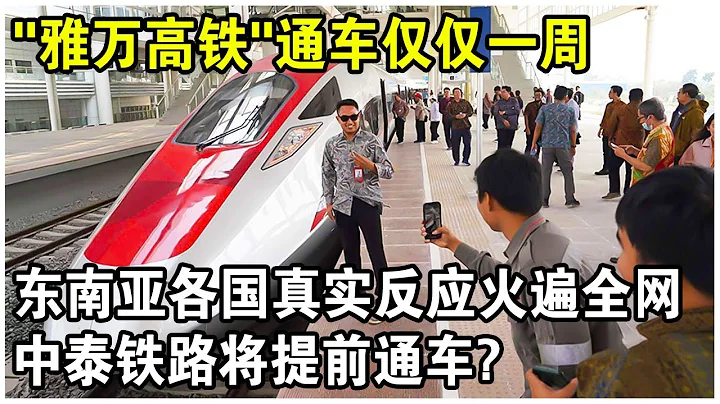 “雅万高铁”通车仅仅一周，东南亚各国真实评价火遍全网！泰国率先出手，中泰铁路将提前通车？ - 天天要闻