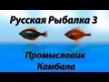 Русская Рыбалка 3.9 Промысловик Камбала
