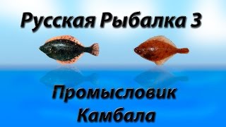 Русская Рыбалка 3.9 Промысловик Камбала