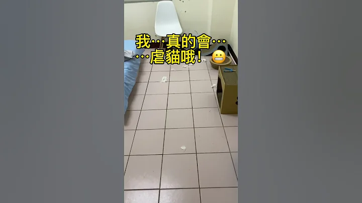 I am gonna...abuse the cat!😬 - 天天要聞