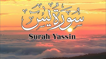 سورة ياسين (يس) القارئ أنس محمود | تلاوه تريح الجوارح لمدة ساعة كاملة أرح أعصابك لها surah Yasin