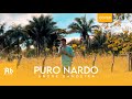 Andr bandeira  puro nardo cover fernanda brum