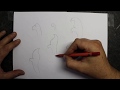 How to draw scroll designs: The basics