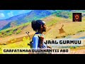Jaal Gurmuu Lachiisaa Gaafatamaa Quunnamtii ABO Waltajjii Marii Hawaasa Oct 26 2024 Irratti Dubbate 