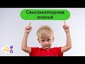 Сенсомоторная алалия. Особенности, симптомы и причины? Что делать?