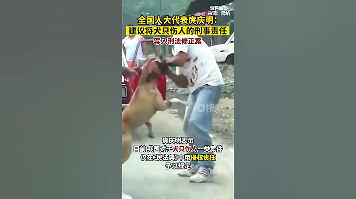 全国人大代表、雅安市雨城区第二中学校长庹庆明#建议将犬只伤人的刑事责任写入刑法修正案#两会代表委员有话说#恶犬伤人 - 天天要闻