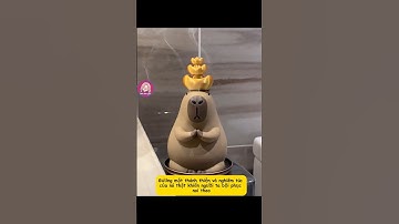 Mặt con Capybara này thật nghiêm túc quá đi #genz #review #funny #giaitri #haihuoc #votri #capybara