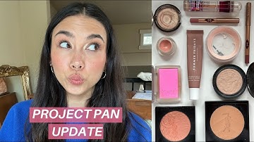 Project Pan Update 2025 | I finished a product! :)