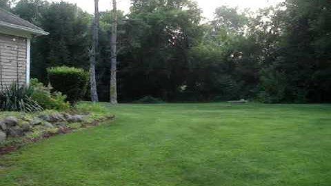 Proto SLG 25 BPS PSP