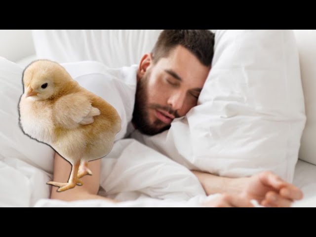 Ayolning jinsiy jozibasi Porno video faqat Nadya