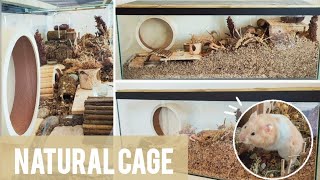 Setting Up a Naturalistic Aquarium Style HAMSTER Cage + New Cage Tour! 🐹🌿