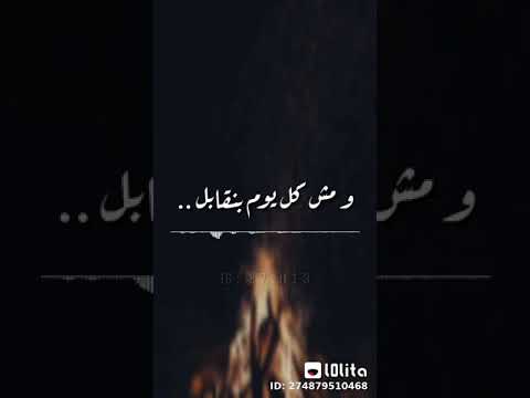 صوتك وحشني عمرو دياب حالات واتس