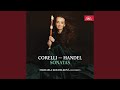 Handel Recorder Sonata In D Minor HWV 367a I Largo