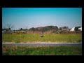 カレーの歌 くるり