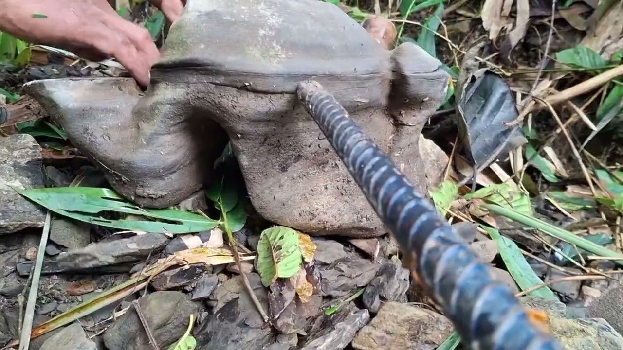 Fisik Terkuras, Hanya Bisa Memandang Keindahan Batu Jumbo!