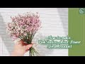 【春色】ピンク色スターチスで作るドライフラワースパイラルブーケ Dried flower spiral bouquet made from pink statice