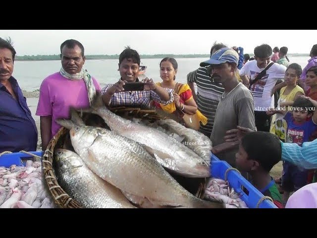 Fish Market Digha Mohona (Rui, Katla, Ilish, Pomfret, Lote ) | Street Food Loves You | Indian Food Loves You