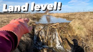 Full CHANNEL || Beaver Dam Removal.