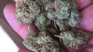 Weed review #1 pineapple chunk(high street growers)