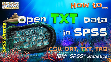 How to Open Text-Based Data Files (DAT, TXT, CSV, TAB) in SPSS