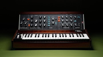 Minimoog Model D | Live Build | From the Moog Factory