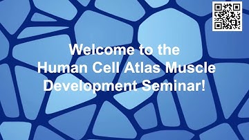 HCA Development Seminar Series: Muscle