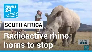 First radioactive rhino horns to curb poaching in South Africa • FRANCE 24 English