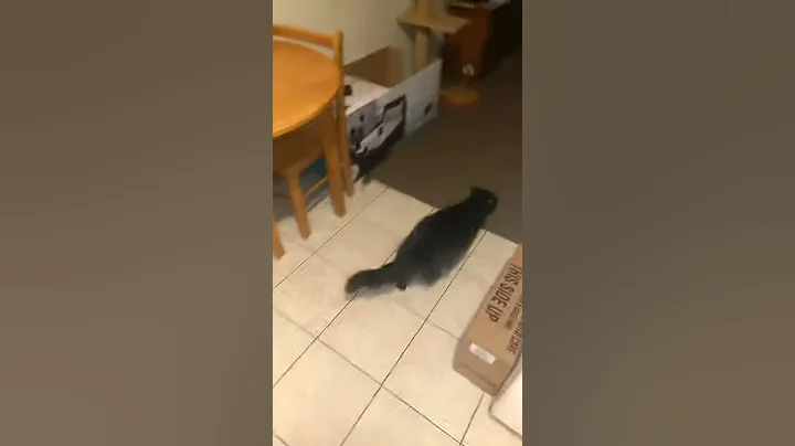 VID 20170910 202237