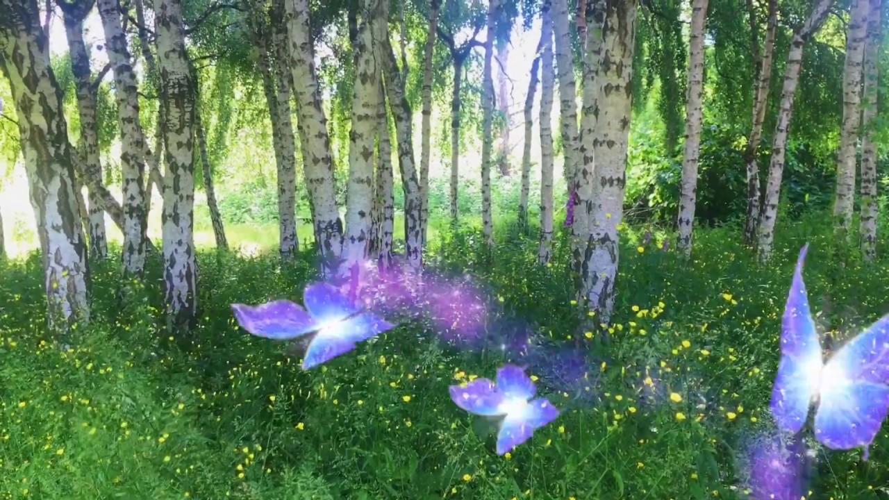 10-minute relaxing nature scene (🦋) Butterflies & Birds (🦋) Dream Cache ...
