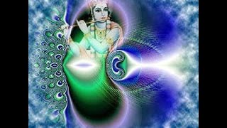 Personal Effort & the Divine Grace with Alok Pandey - Illumined