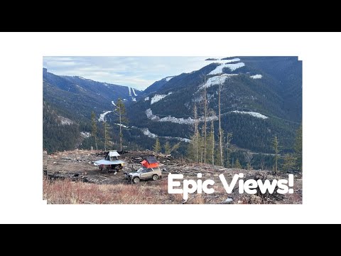 Exploring the BC