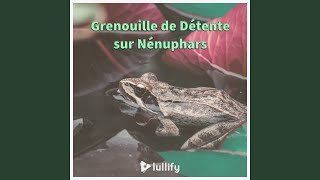 Download Lagu Amphibiens détendus Download Lagu Amphibiens détendus