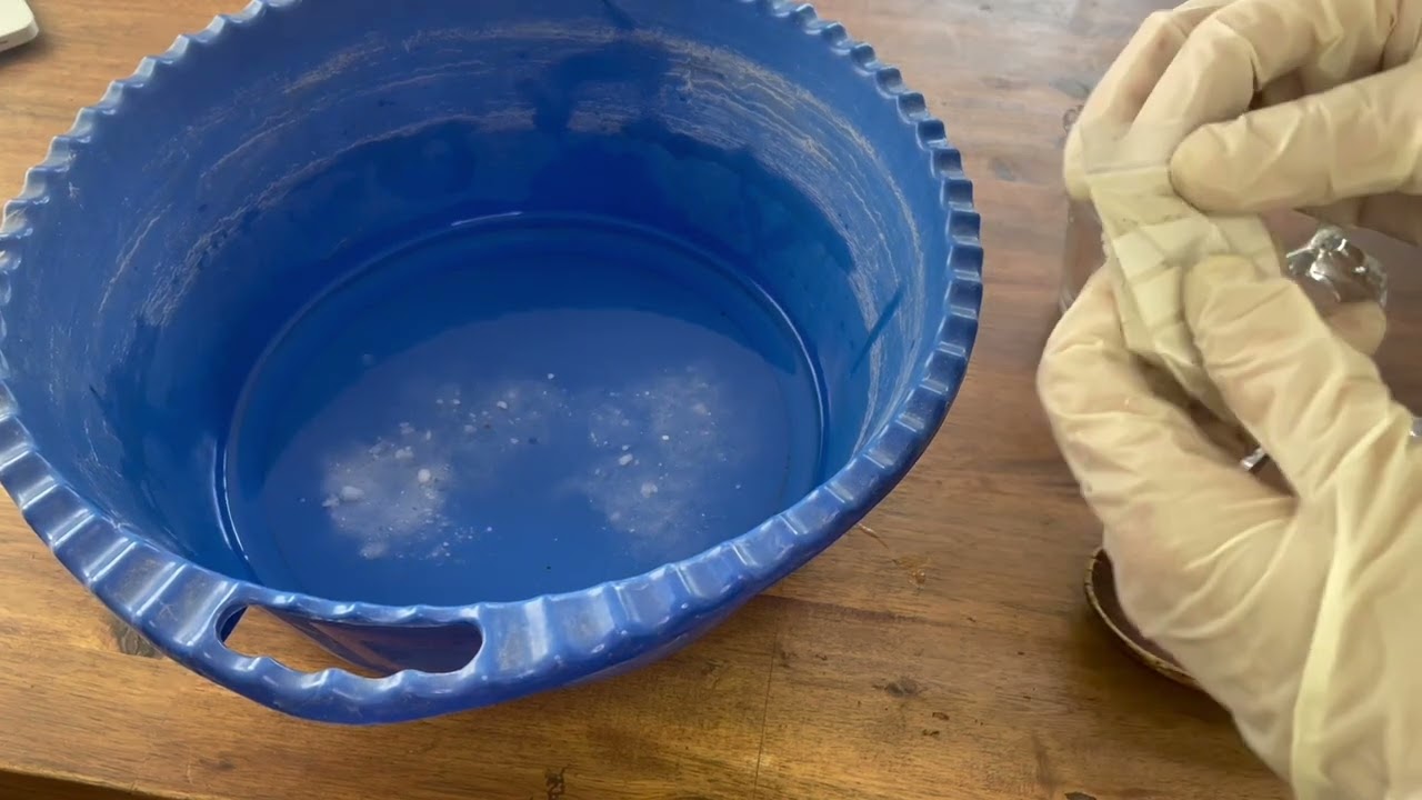 Presentación y Mordiente