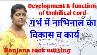 Development & function of umbilical cord (funiculus)in hindi भ्रूण में नाभिनाल का निर्माण व विकास |
