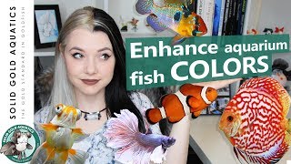 COLOR ENHANCING Tips for Fish!