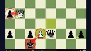 Magnus Carlsen Queen Is Persistent.