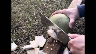 Coconut in Canada